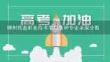 柳州铁道职业技术学院各种专业录取分数,柳州职业技术学院单招分数线