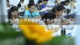湖南网络工程职业学院单招分数线,湖南2023单招学校及分数线