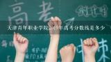 天津青年职业学院2019年高考分数线是多少,天津春季高考，往年各大院校录取分数线