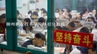 柳州职业技术学院单招分数线